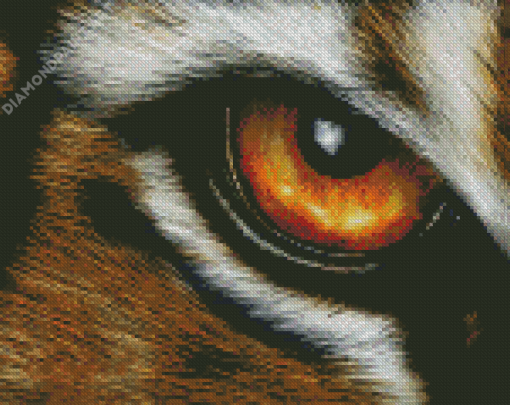 Aesthetic Tiger Eyes Art Diamond Painting