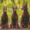 Aesthetic Dobermanns Diamond Painting