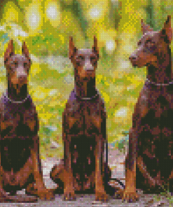 Aesthetic Dobermanns Diamond Painting