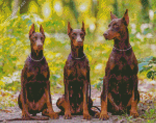 Aesthetic Dobermanns Diamond Painting