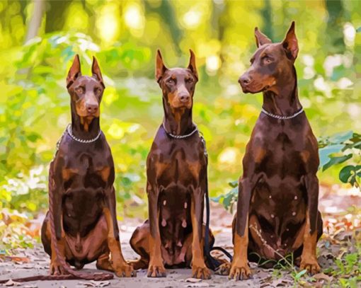 Aesthetic Dobermanns Diamond Painting