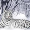 Aesthetic White Siberian Tiger Diamond Painting