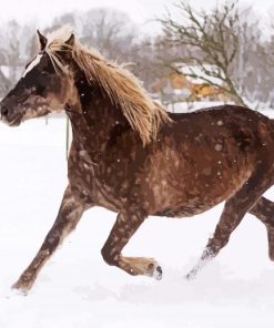 Beige Native Horse In Snow Diamond Painting