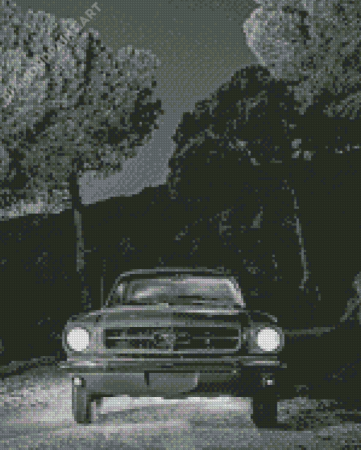 Black And White 64 Ford Mustang 5D Diamond Painting