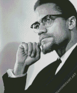 Black And White Malcolm X Diamond Painting