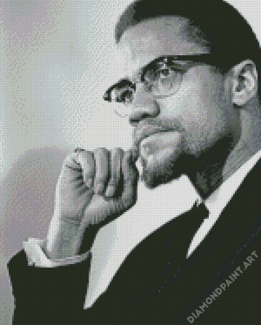 Black And White Malcolm X Diamond Painting