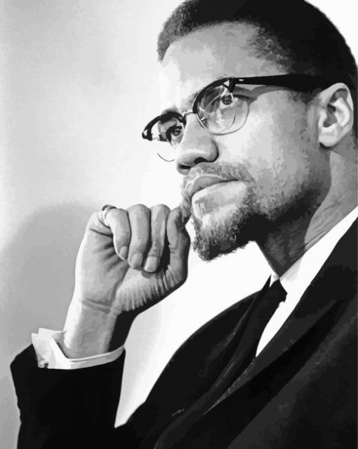 Black And White Malcolm X Diamond Painting