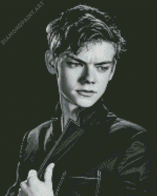 Black And White Thomas Brodie Sangster Diamond Painting