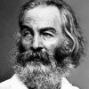 Black And White Poet Walt Whitman Diamond Painting