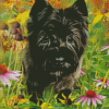 Black Cairn Terrier Dog Art Diamond Painting