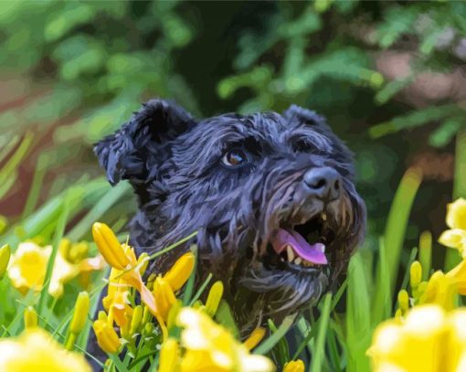 Black Cairn Terrier Dog Diamond Painting