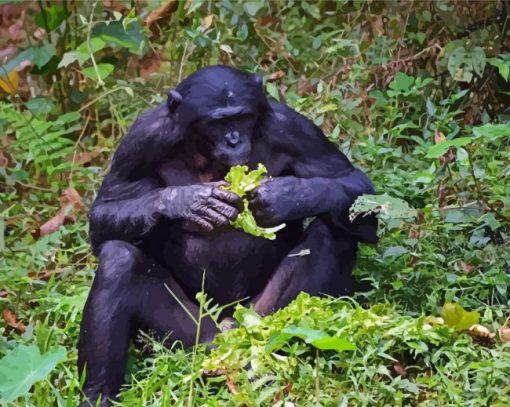 Bonobo Monkey Eating Diamond Painting