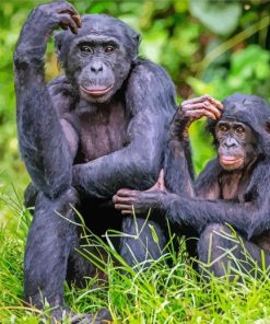 Bonobo Monkey Family Diamond Painting