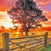 Country Sunset Diamond Painting