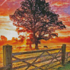 Country Sunset Diamond Painting