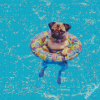 Cute Dogs Pool Diamond Painting