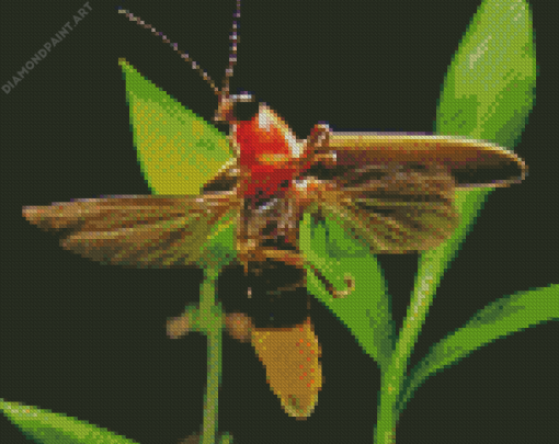 Cute Firefly Diamond Painting