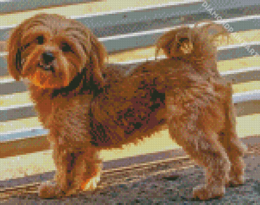 Cute Shihpoo Dog Diamond Painting