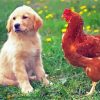 Dog With Chicken Diamond Painting