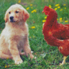 Dog With Chicken Diamond Painting