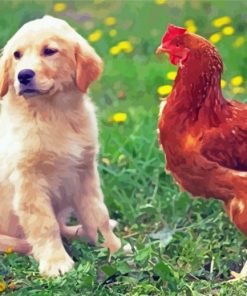 Dog With Chicken Diamond Painting