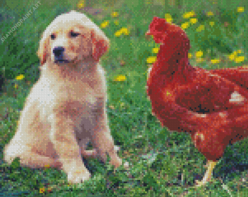 Dog With Chicken Diamond Painting