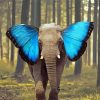 Elephant And Blue Butterfly Ears Diamond Painting