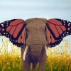 Elephant Animal And Butterfly Diamond Painting