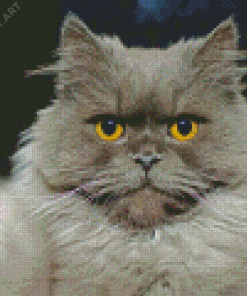 Fluffy Gray Cat Diamond Painting