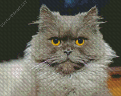 Fluffy Gray Cat Diamond Painting