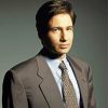 Handsome Fox Mulder Diamond Painting