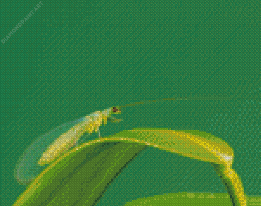 Lacewing Insect Diamond Painting