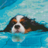 Little Dogs In Pool Diamond Painting