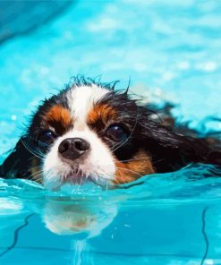 Little Dogs In Pool Diamond Painting