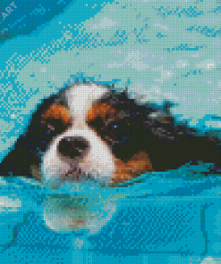 Little Dogs In Pool Diamond Painting