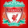 Liverpool Fc Crest Diamond painting