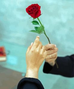 Man Giving A Rose To A Woman Diamond Painting