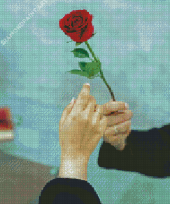 Man Giving A Rose To A Woman Diamond Painting