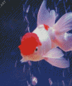 Pink Cap Fish Diamond Painting