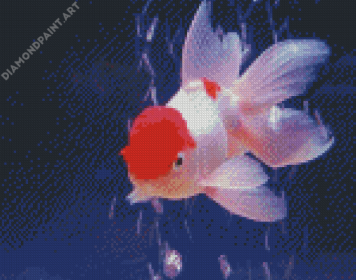 Pink Cap Fish Diamond Painting