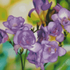 Purple Freesia Diamond Painting