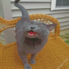 Russian Blue Meowing Diamond Painting