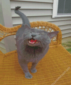 Russian Blue Meowing Diamond Painting