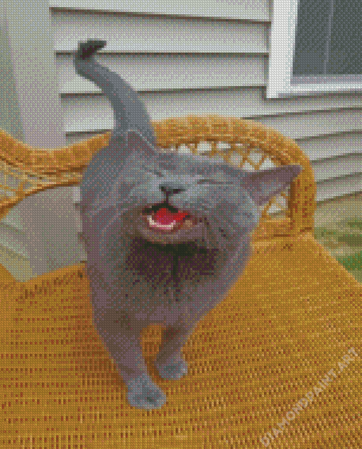 Russian Blue Meowing Diamond Painting