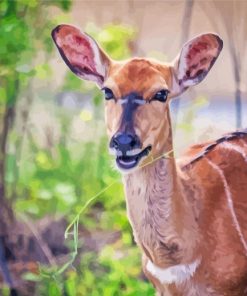 Smiling Nyala Animal Art Diamond Painting