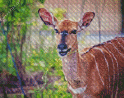 Smiling Nyala Animal Art Diamond Painting