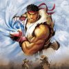 Street Fighter Art Illustration Diamond Painting