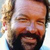 The Actor Bud Spencer Diamond painting