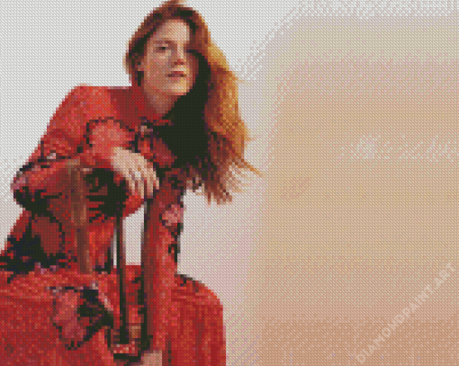 The Beautiful Actress Rose Leslie Diamond Painting