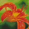 Wet Tiger Lilies Diamond Painting